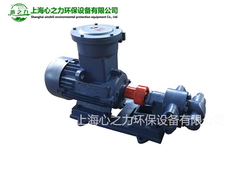 灤南2CY齒輪油泵